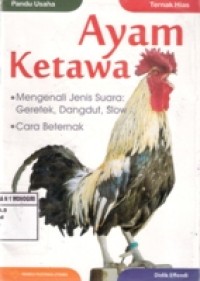 AYAM KETAWA