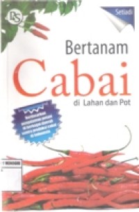BERTANAM CABAI DI LAHAN POT