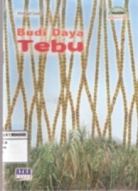 BUDI DAYA TEBU