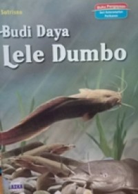 Beternak Lele Dumbo