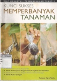 KUNCI SUKSES MEMPERBANYAK TANAMAN