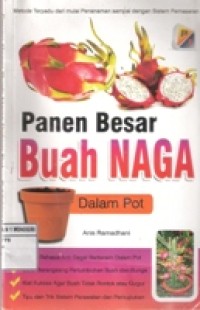 PANEN BESAR BUAH NAGA DALAM POT