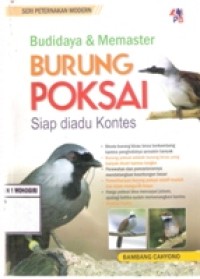Budidaya & memaster burung poksai siap diadu kontes