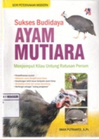 Sukses budidaya ayam mutiara