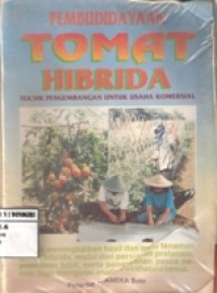 PEMBUDIDAYAAN TOMAT HIBRIDA